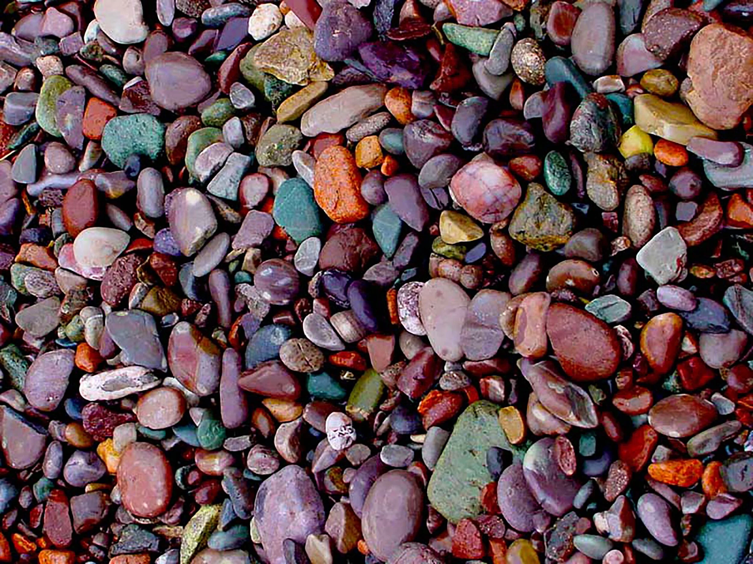 sj fundy stones.jpg