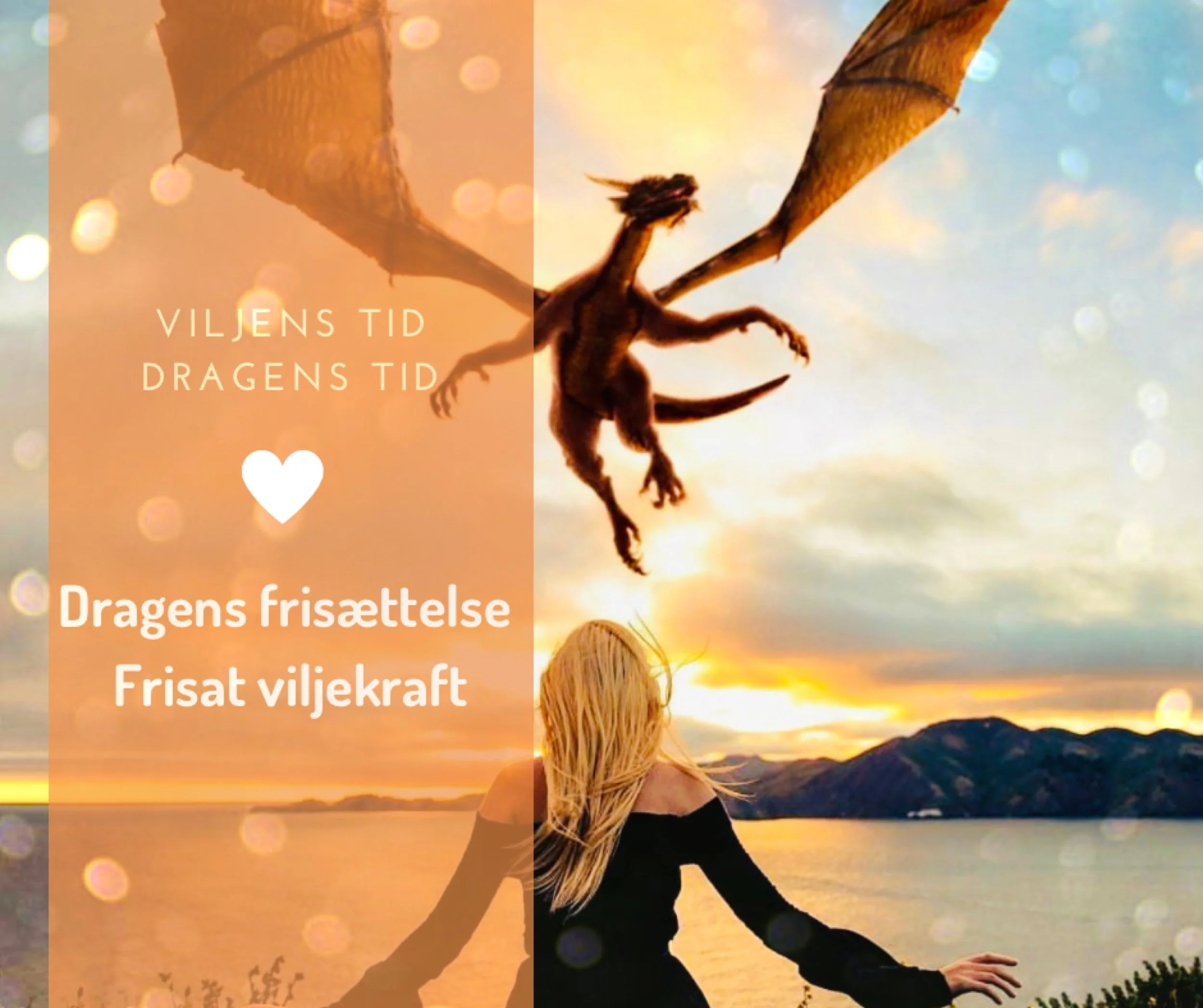 Viljens tid, dragens tid