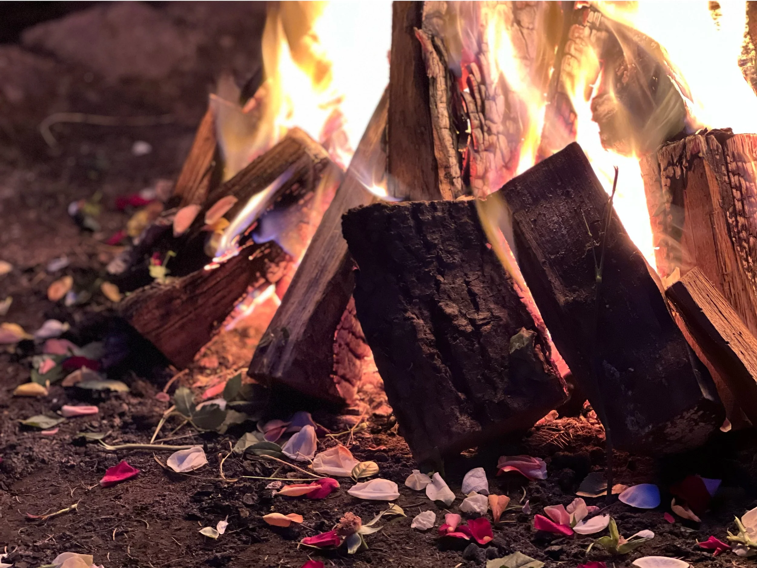 Guru Purnima - fuldmåne i krebsen