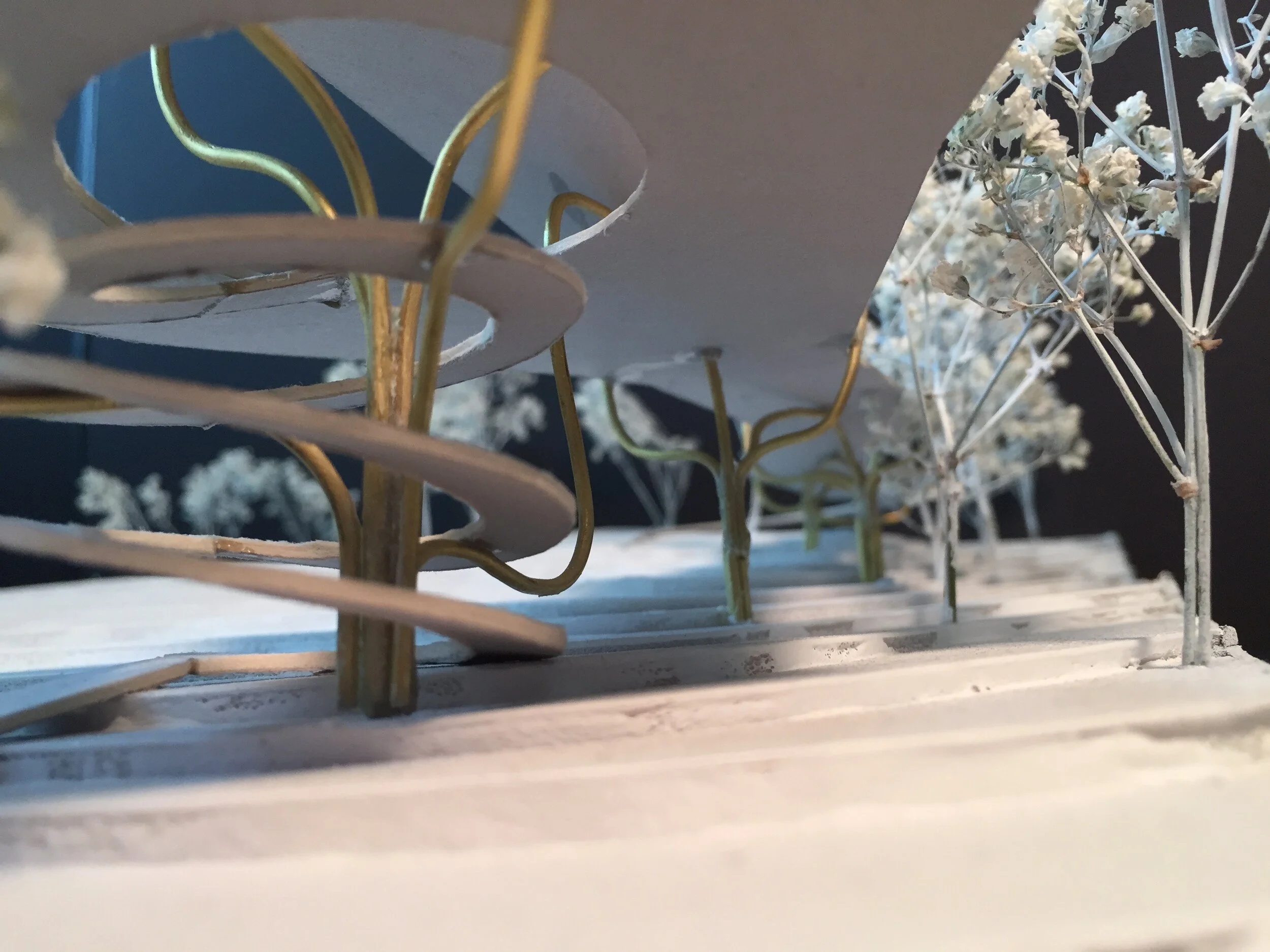 Forrest Pavilion, 2014