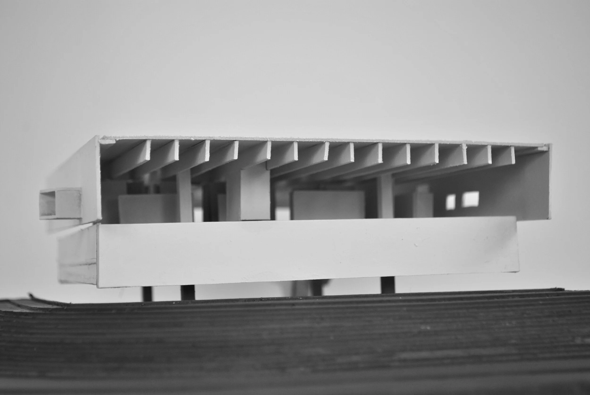 Palo Mendes Da Roca Residence, 2015