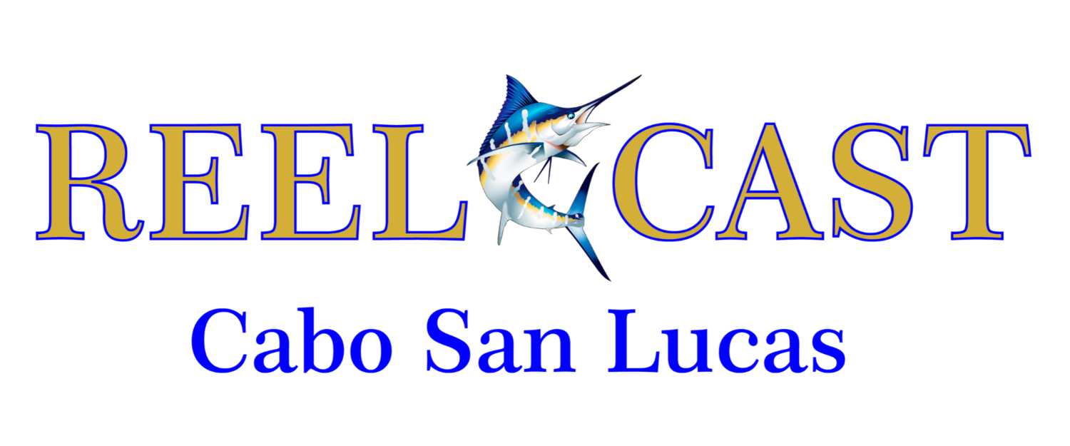 Reel Cast - Fishing in Cabo San Lucas