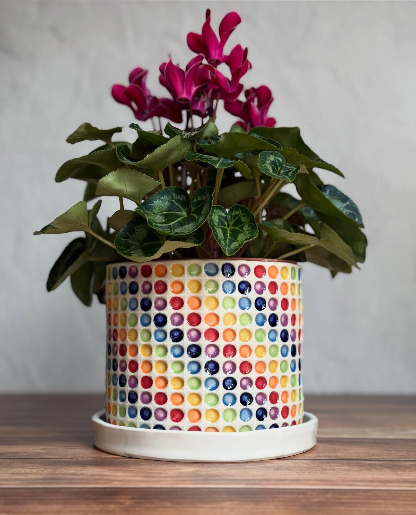 Good morning my friends! 
Thank you for checking out my Spring Update!  All the orders that have come in so far are packed and will be picked up tomorrow by my Super Awesome Mail Lady, Gina.  There are still a lot of gorgeous pots in the shop looking