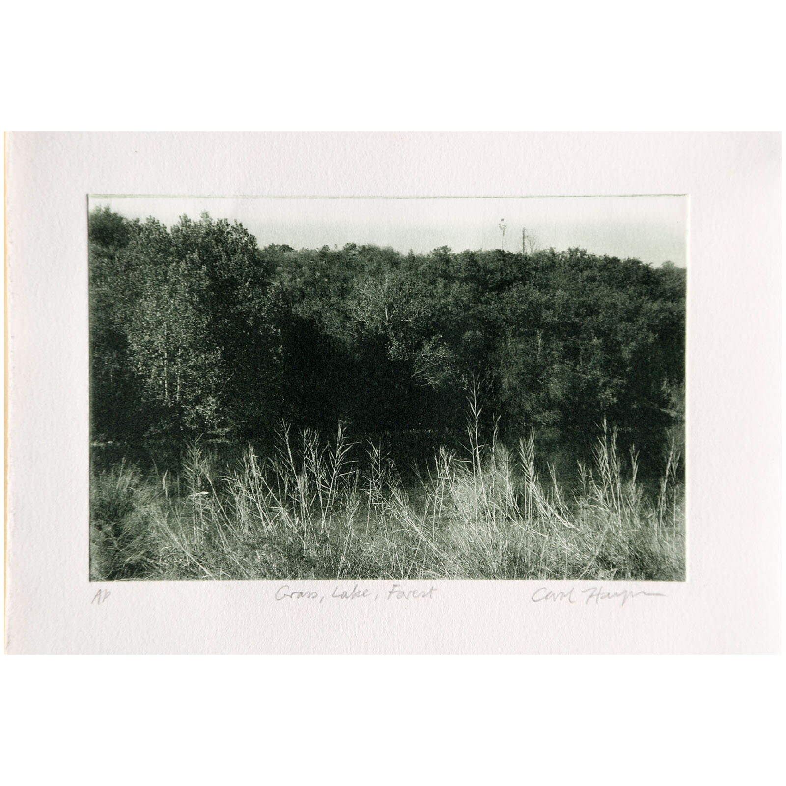 Carol Hayman- Grass, Lake, Forest