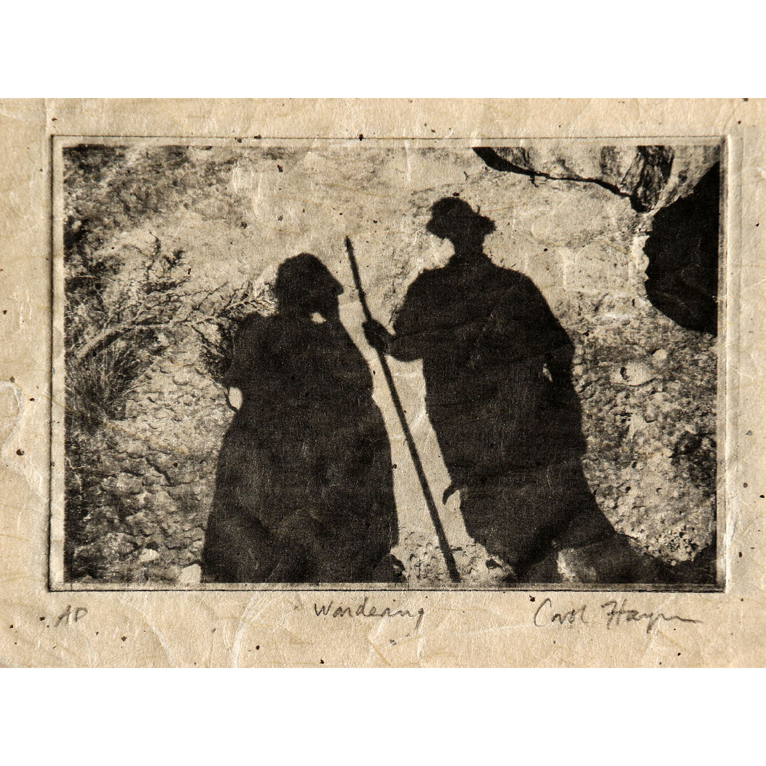 Carol Hayman- Wandering