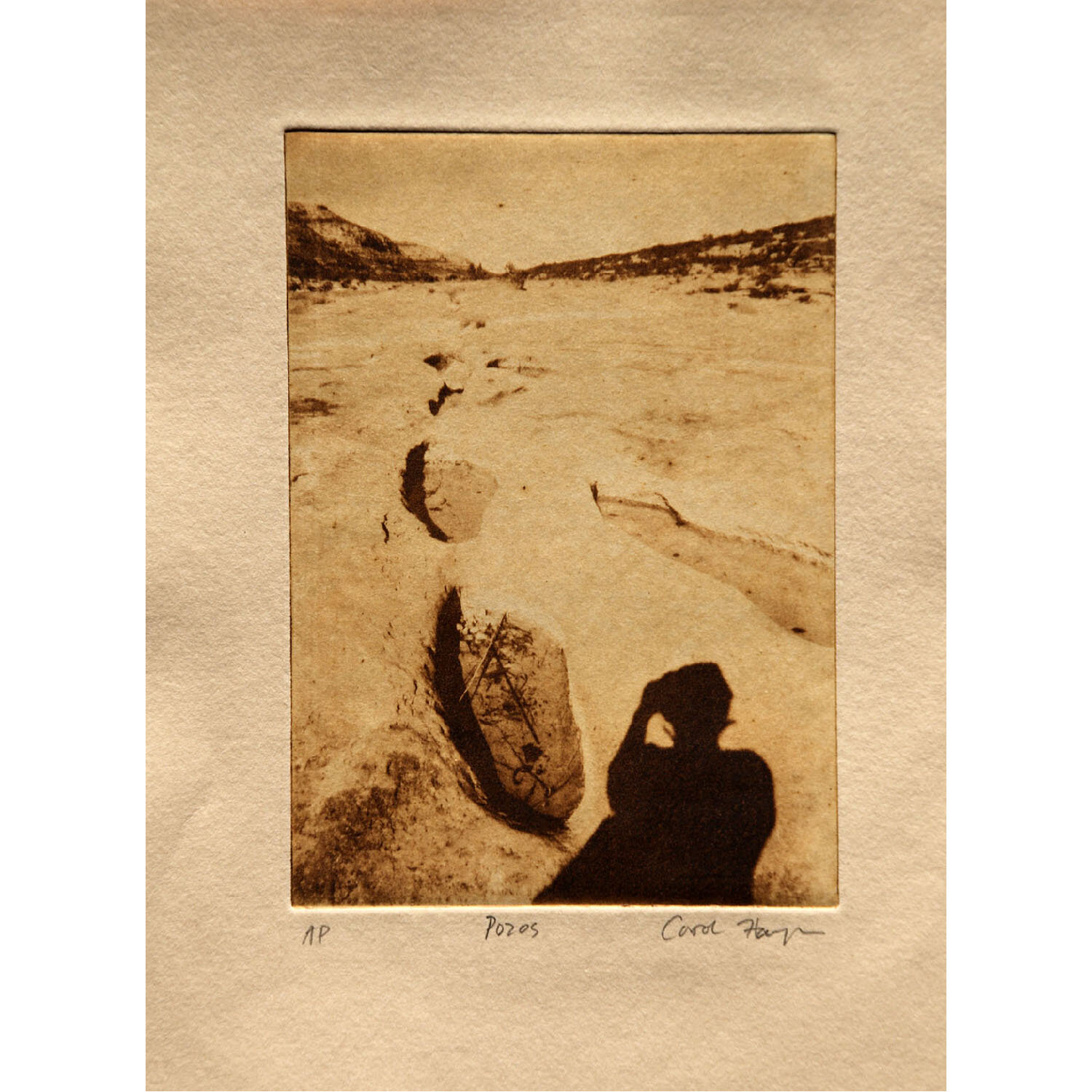 Carol Hayman- Pozos
