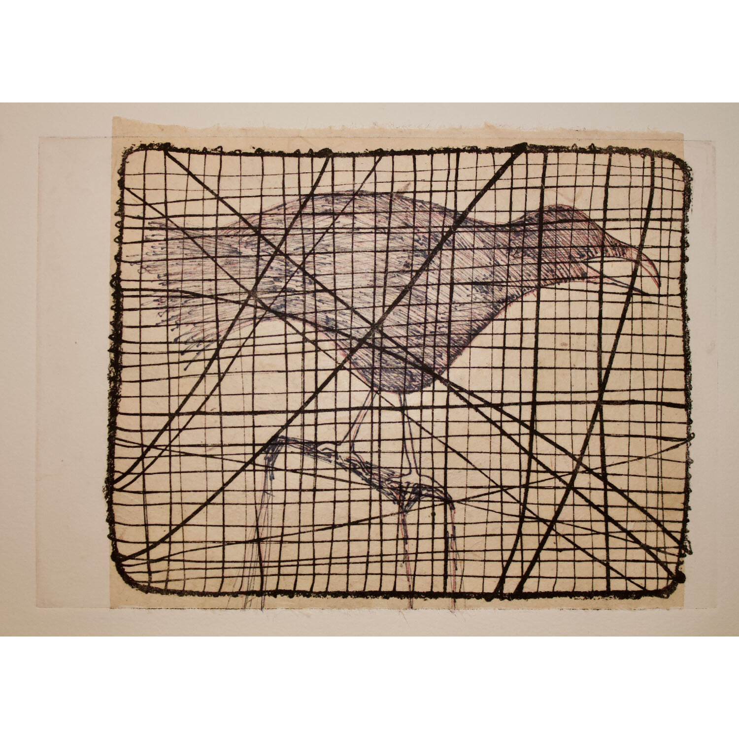 Terry Svat- Caged Bird