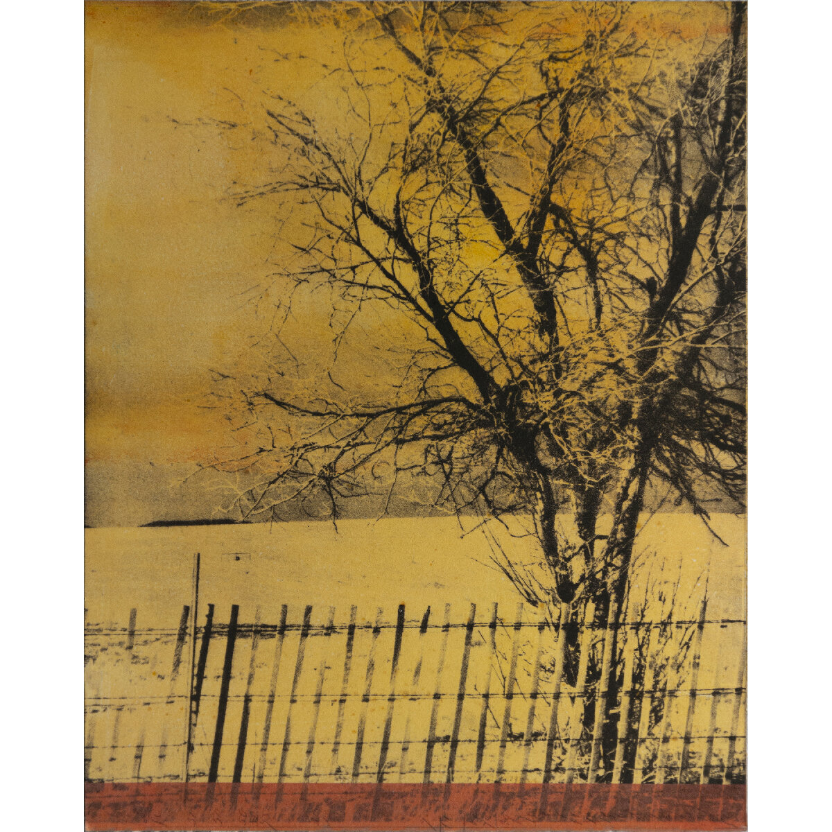 Sharon Navage- Along Highway 87