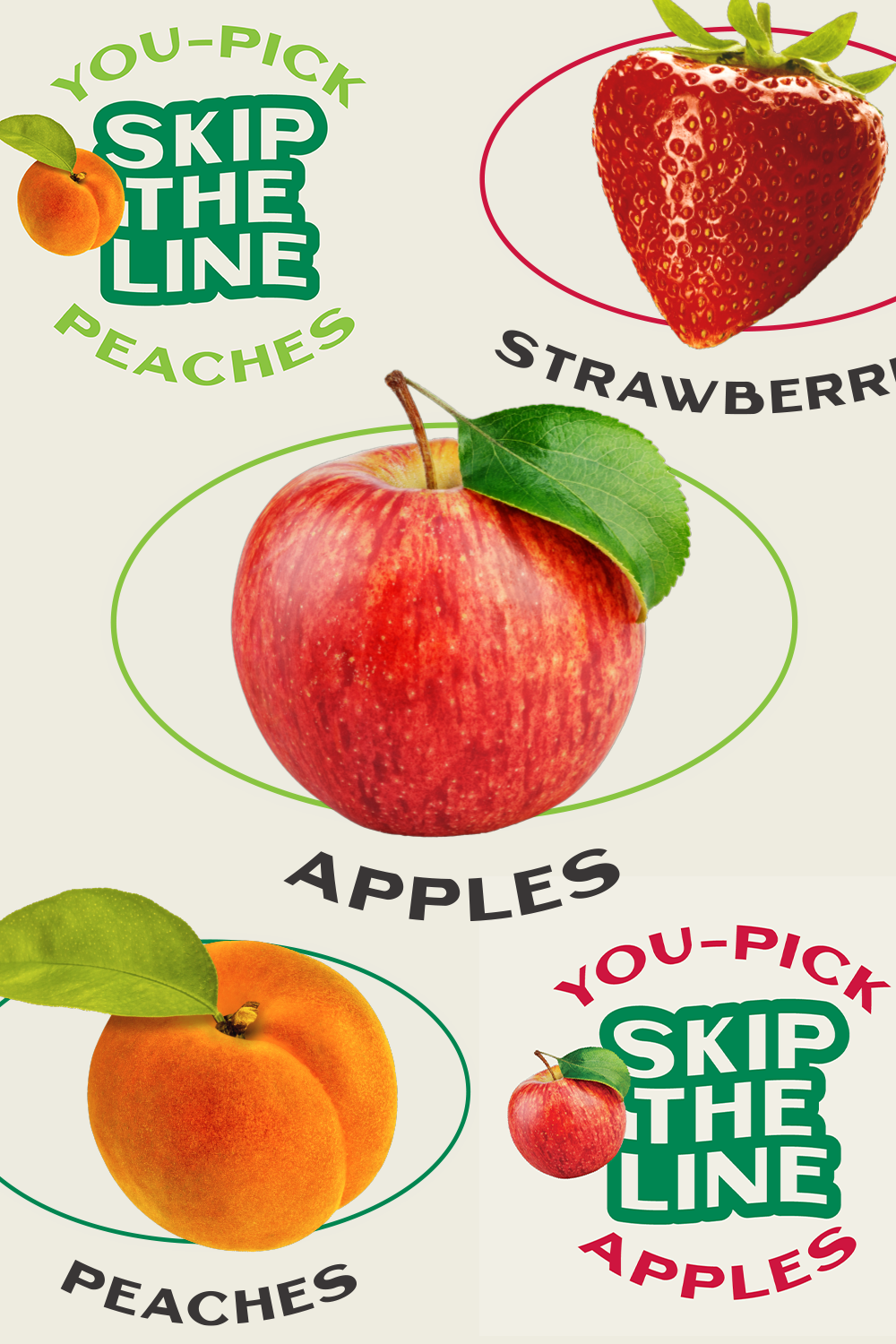 Orchard Farm Branding