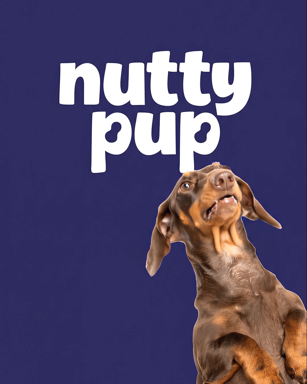 Dog Treats Packaging Design By Eye Candy Design