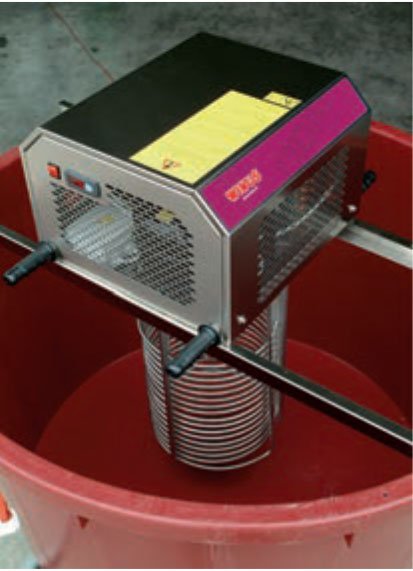 WINUS - 1.jpg