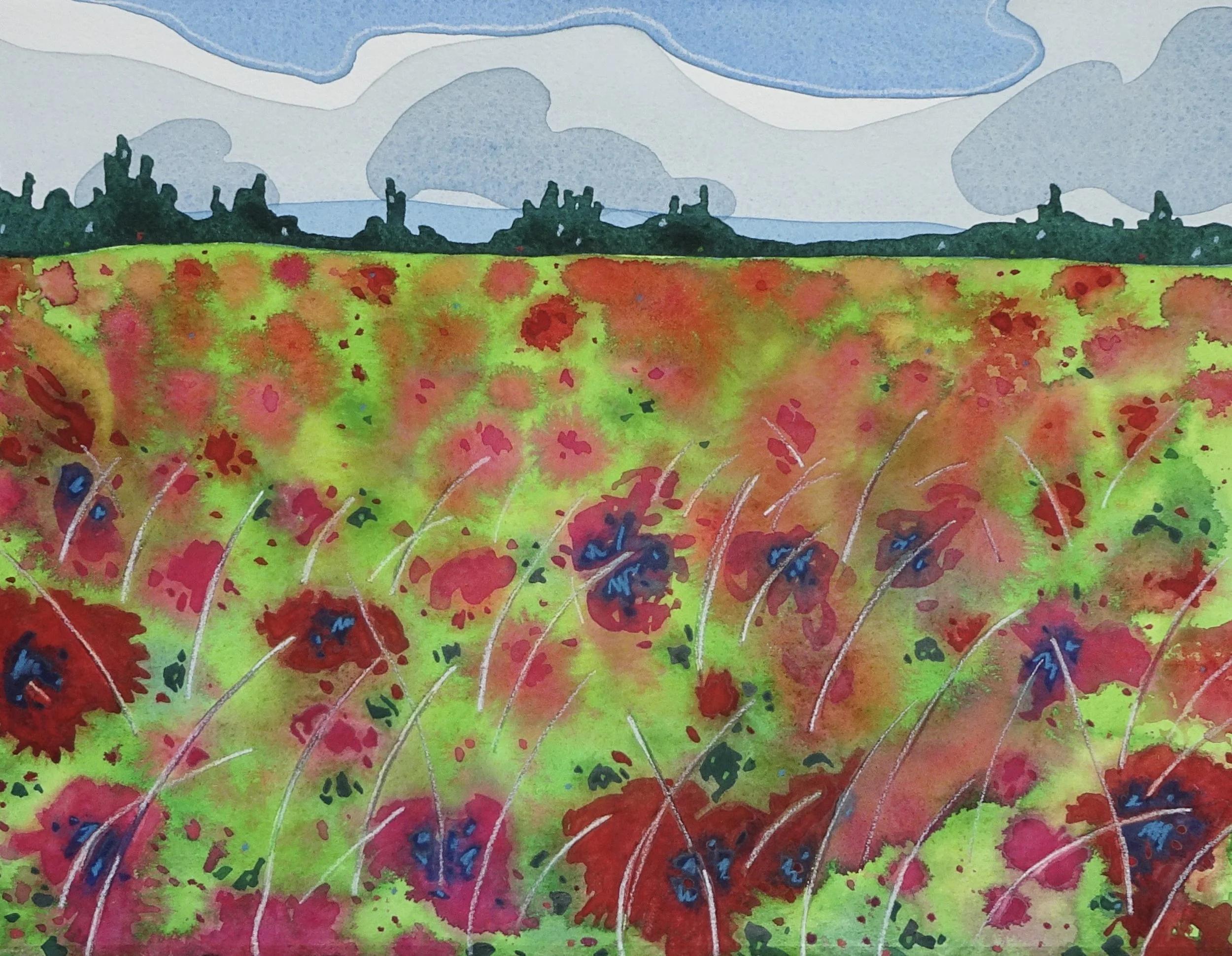 Nottawa Poppies