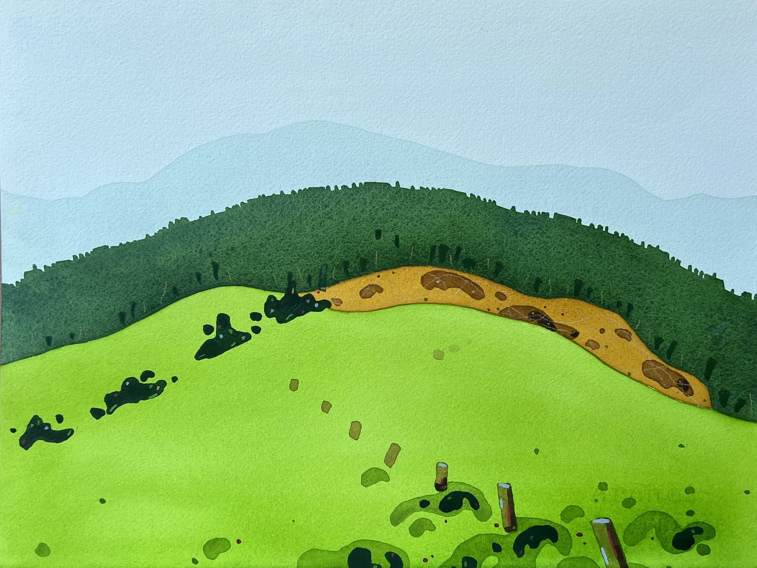 BEAVER VALLEY GREEN