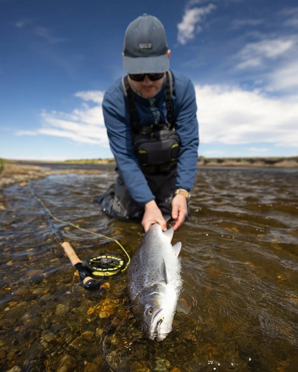 Mand der fisker i en flod med en fanget fisk, sandsynligvis en regnbueørred, på en solrig dag med blå himmel og spredte skyer.