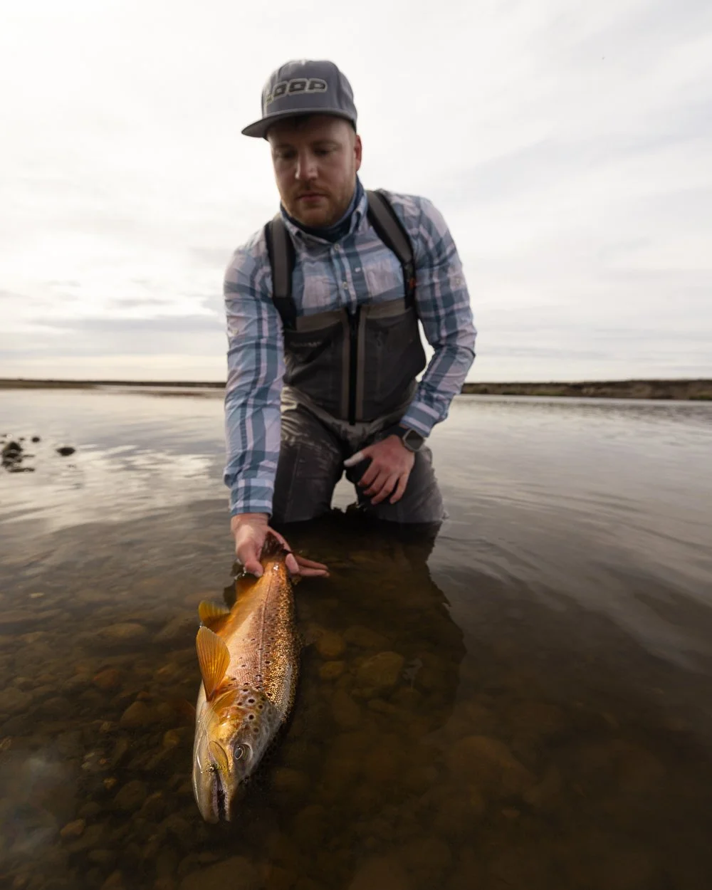 Mand i vandet med en fanget ørred.