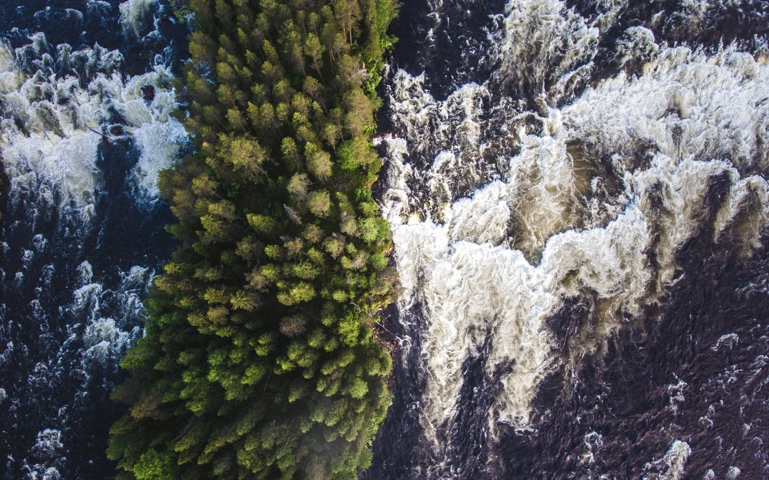 Kopia av DJI_0049.JPEG