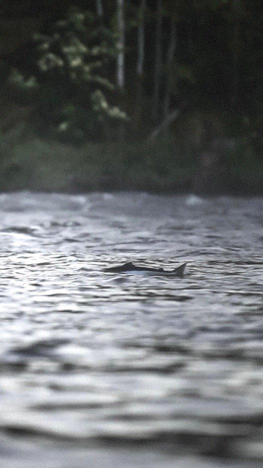 Kopia av Skærmbillede 2017-07-09 kl. 17.03.00.JPEG