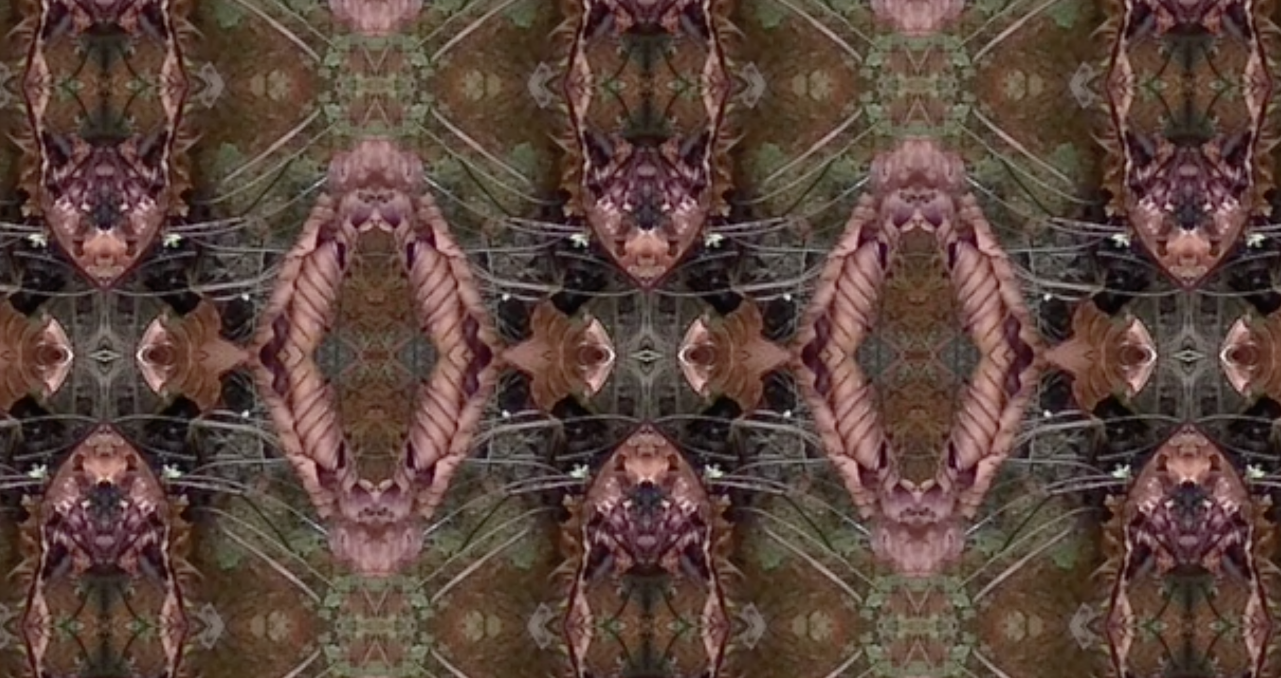 February Decay