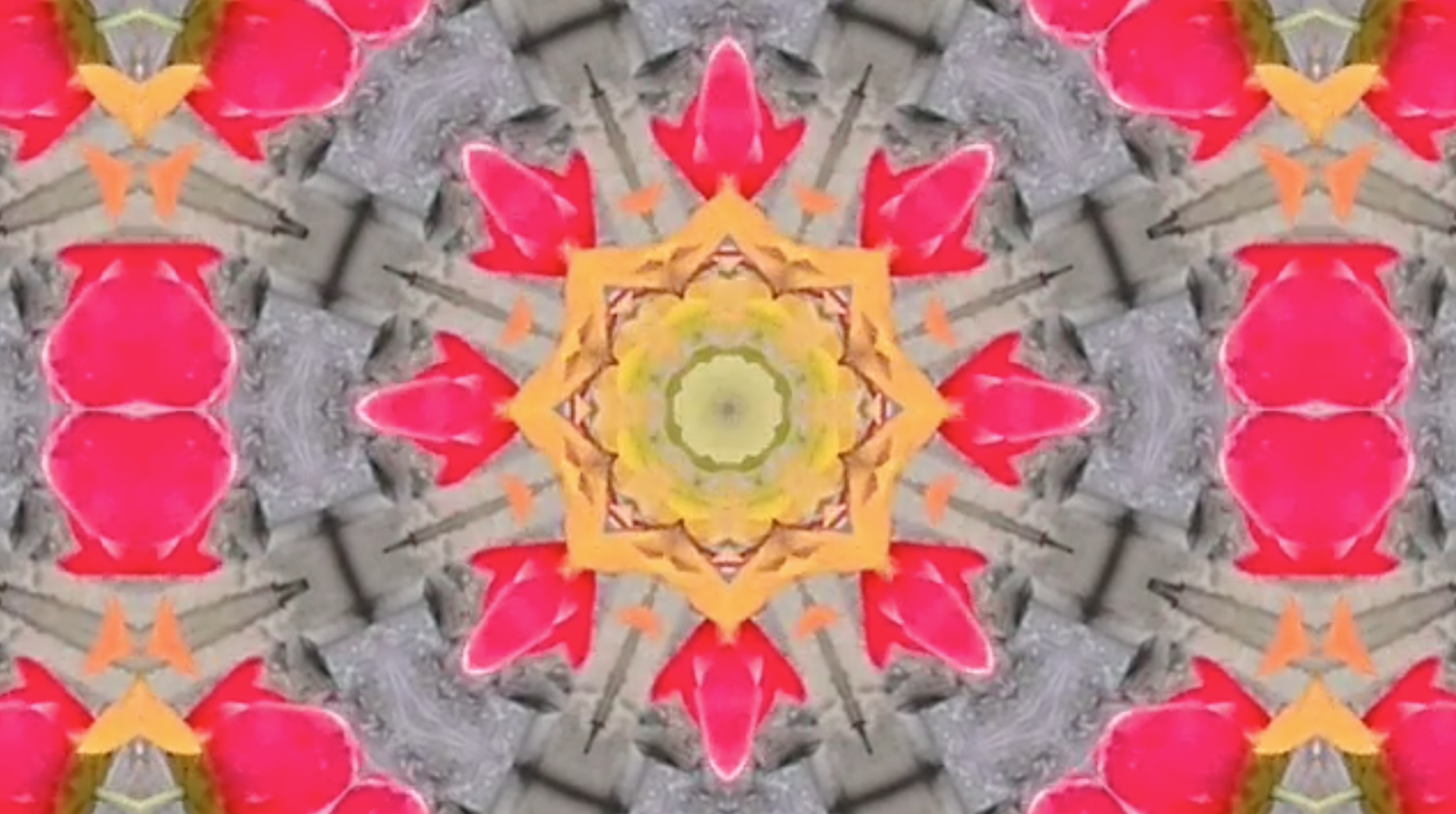 Waterlillies - August    Gif to be shown on a loop