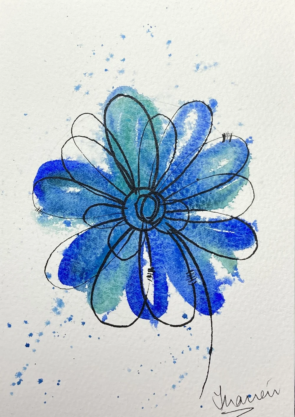 Burst of colour  (1).jpeg