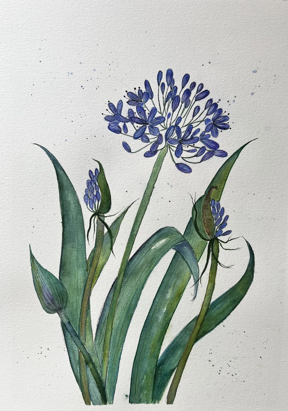 image00007 - Copy.jpeg