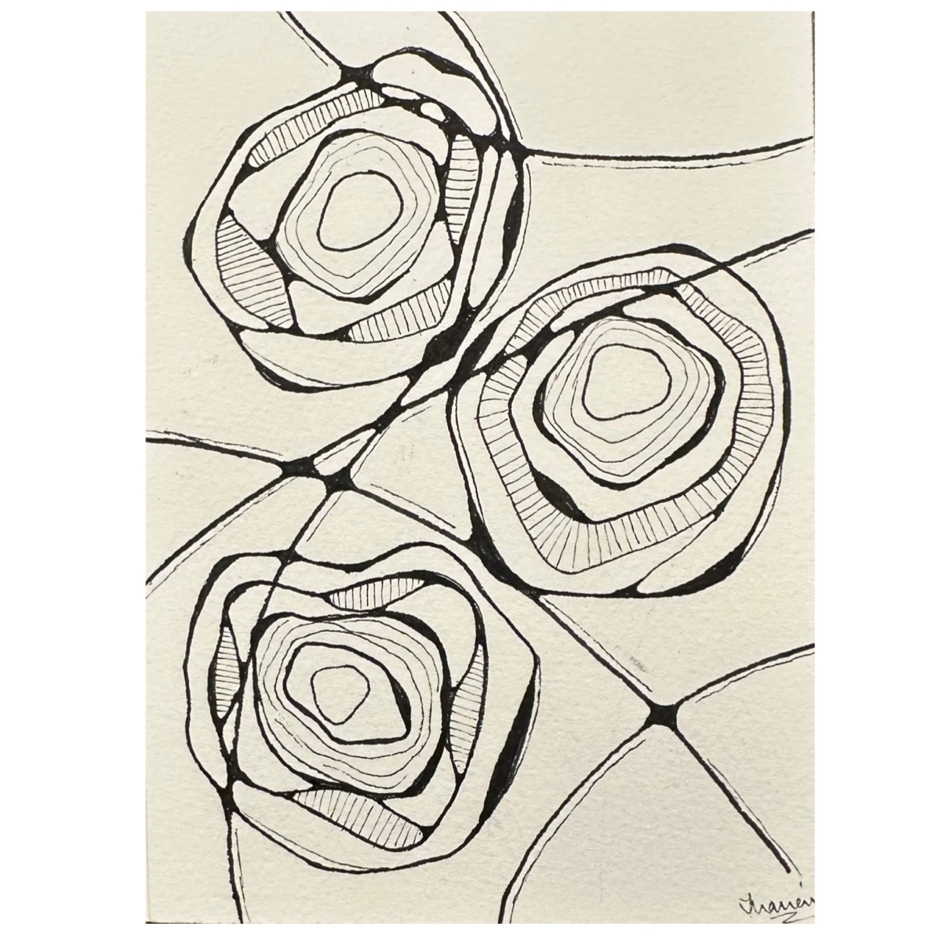 A Rose in Lines_2 