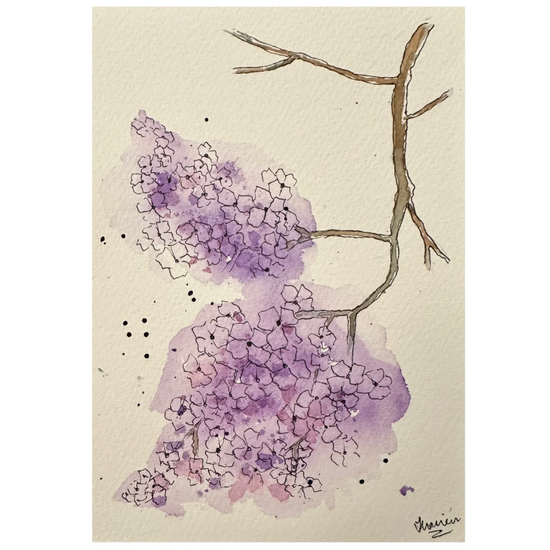 Lilac