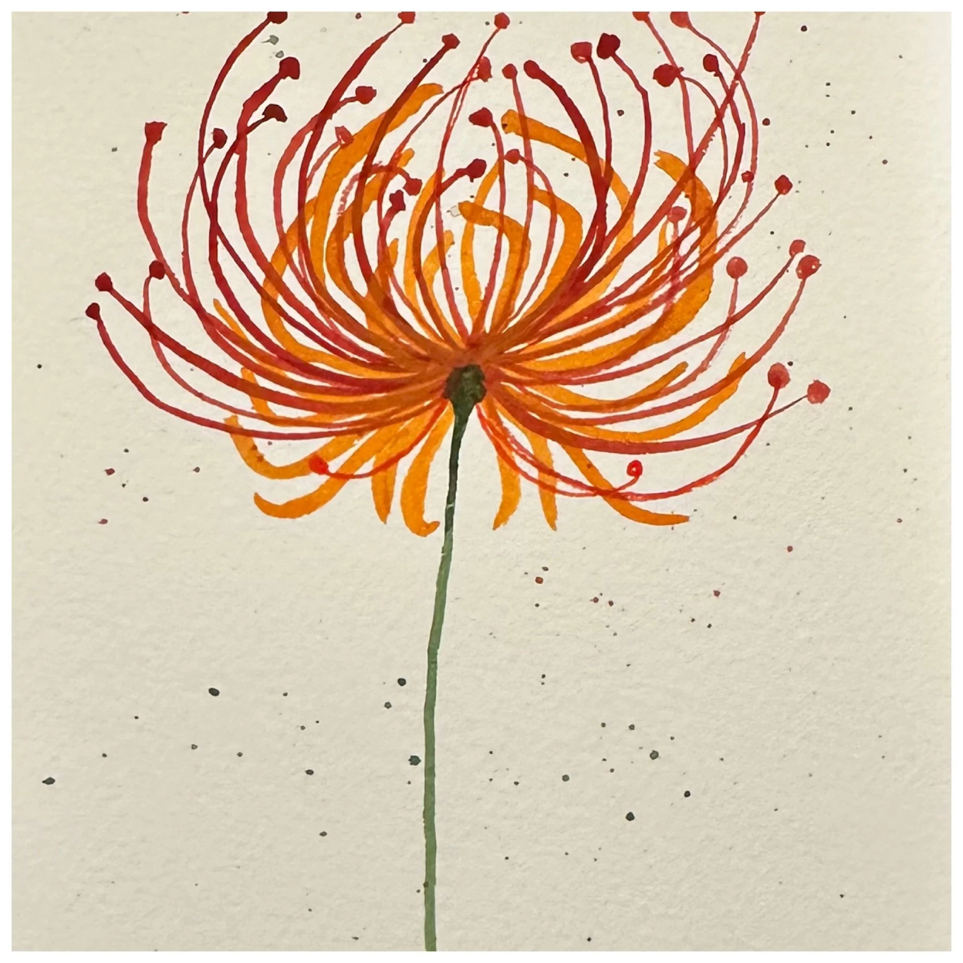 Botanical Impressions_3 