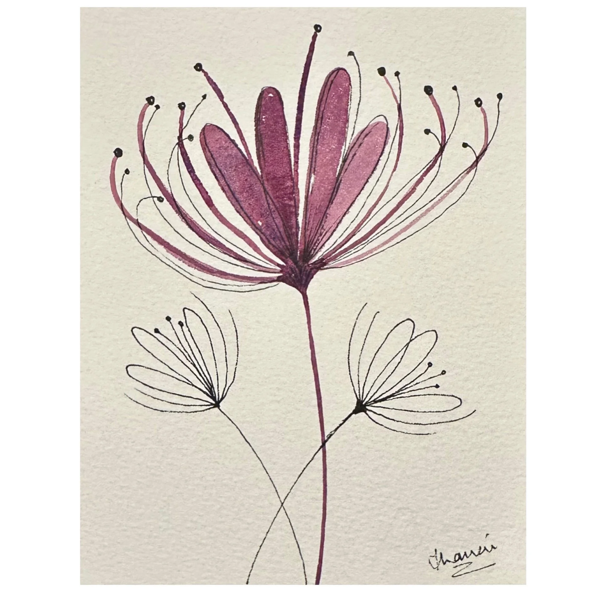 Botanical Impressions_1 