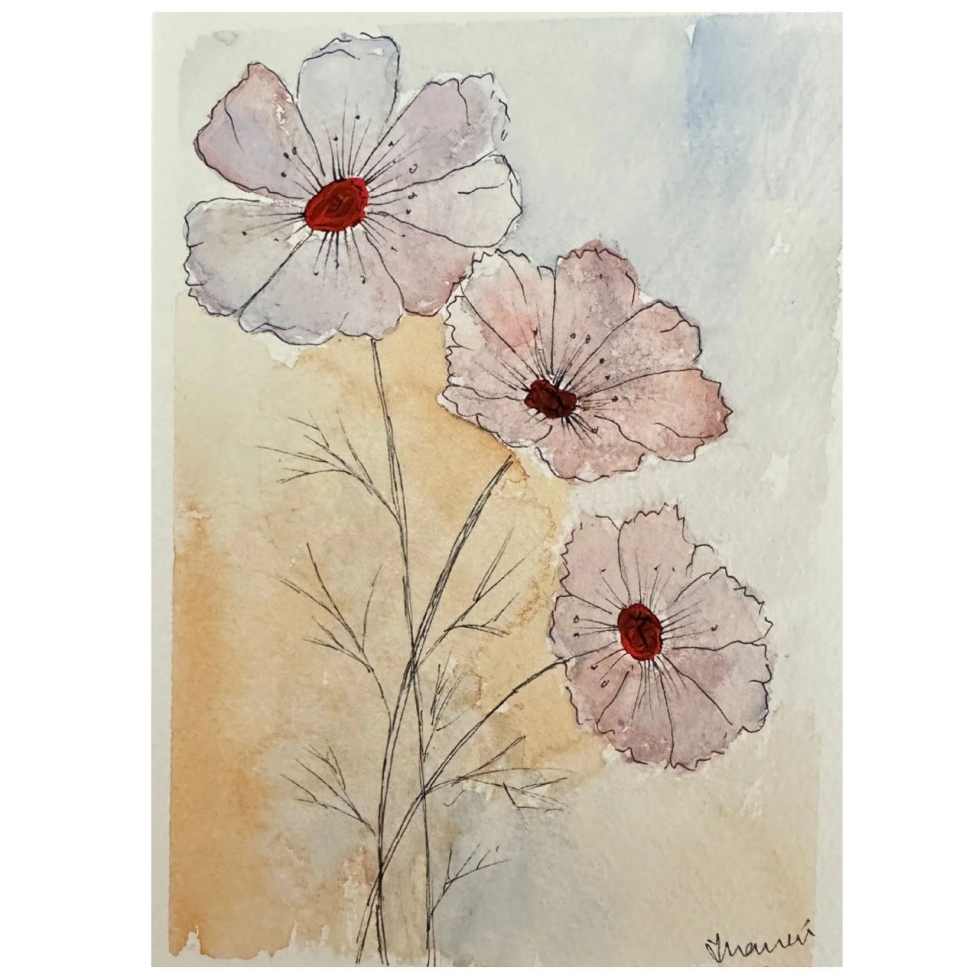 Cosmos_3