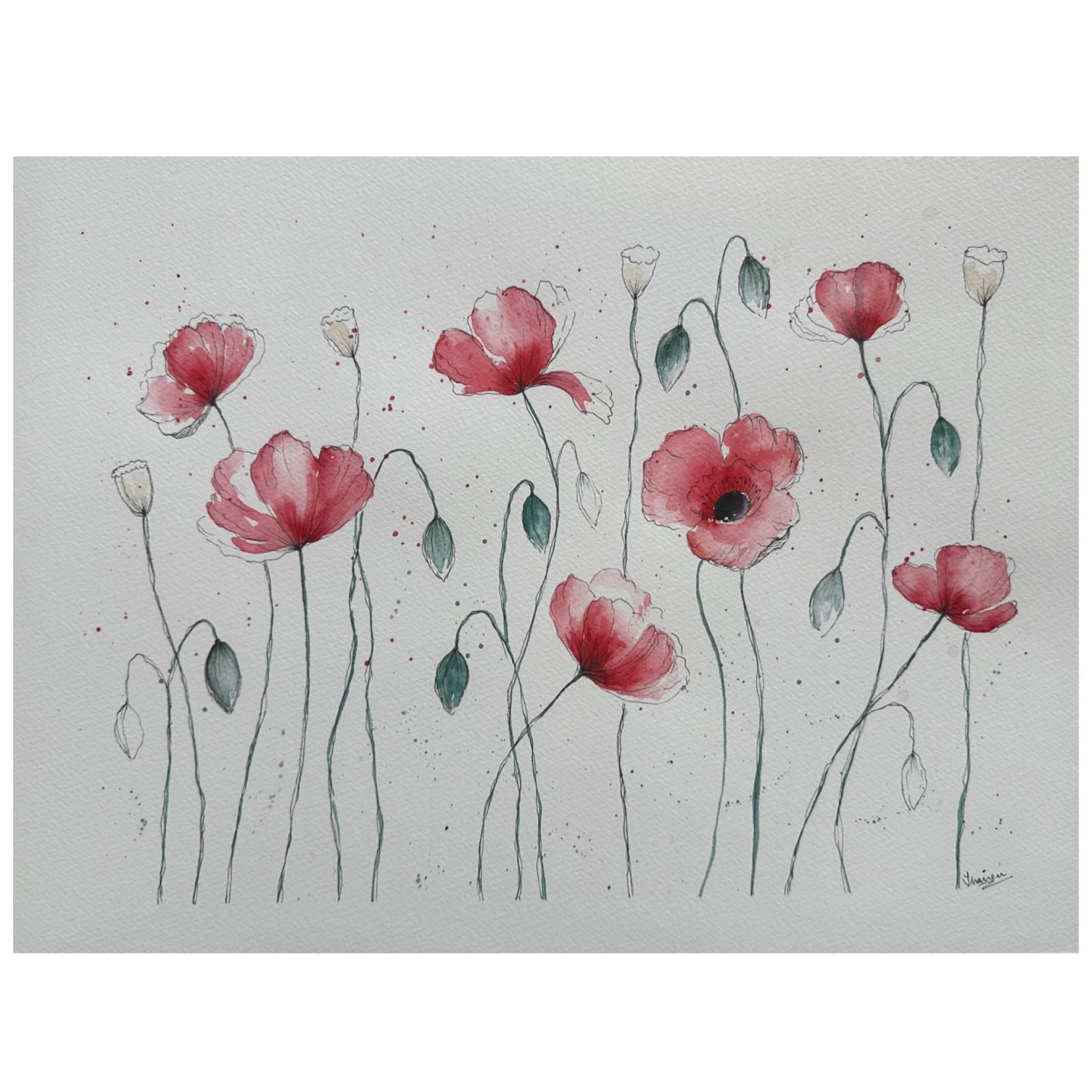 €50; "Dancing in the Wind" (Loosely painted poppies in watercolour and finished with fineliner; finished size is 30x40cm) 