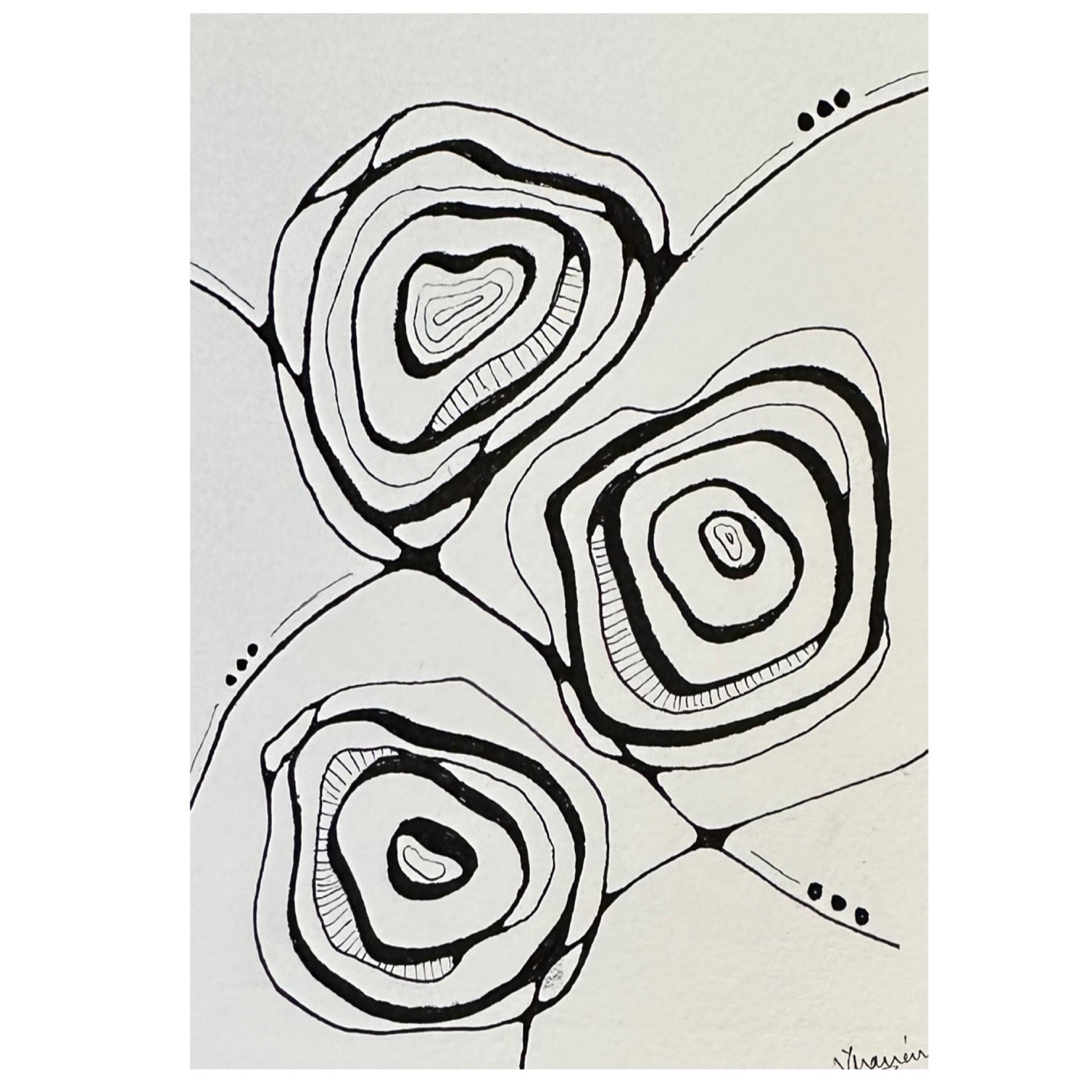 A Rose in Lines_1 