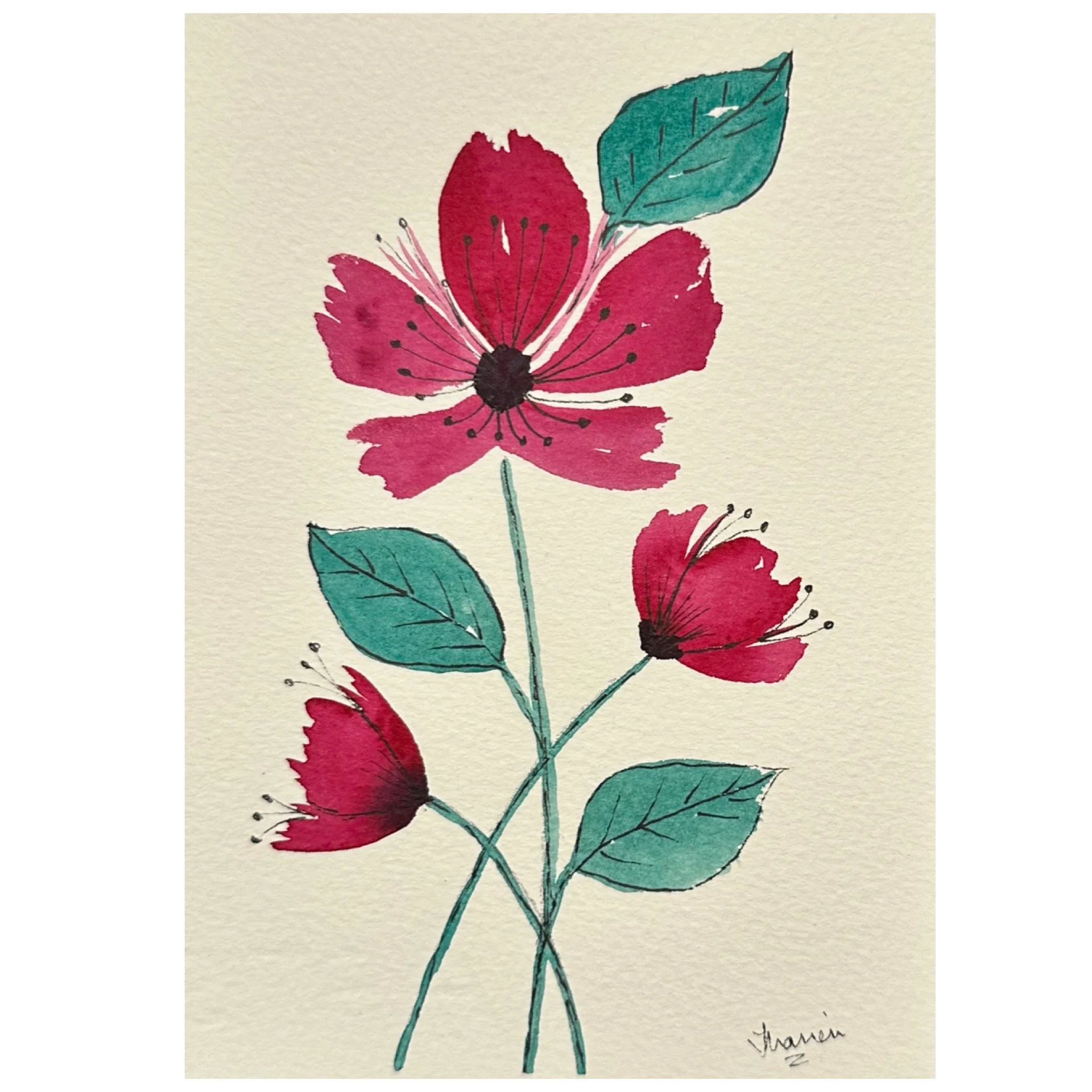 Freestyle Pink Flowers_2