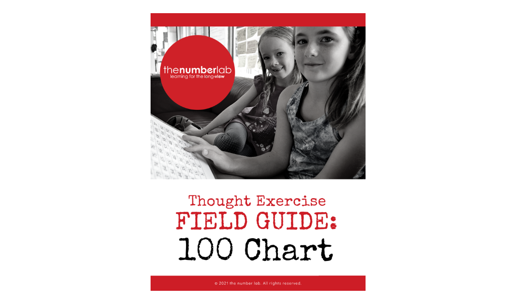 100 Chart Thought Exercise Field Guide