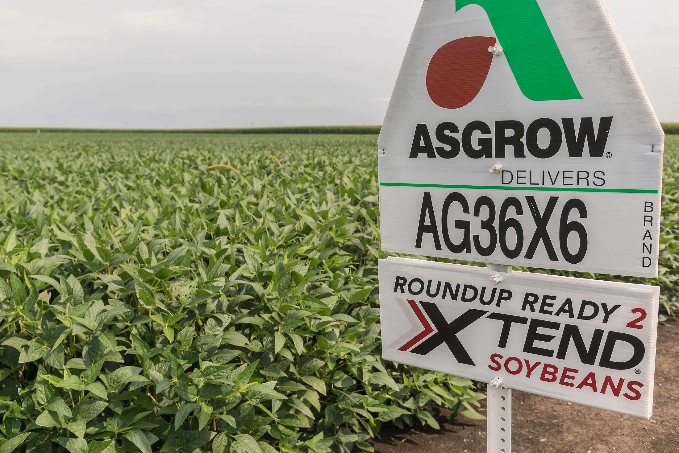 Monsanto Episode 1: 
"This episode is the first of 8 in a FULL MONSANTO SEASON!!! I'd recommend starting with this episode; it will provide a complete timeline of Monsanto's wacky history and will give us some surprise tools to help us in later epis
