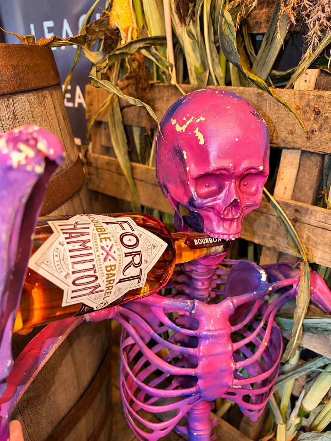 TRICK OR TREAT & SPIRITS AFTER DARK.