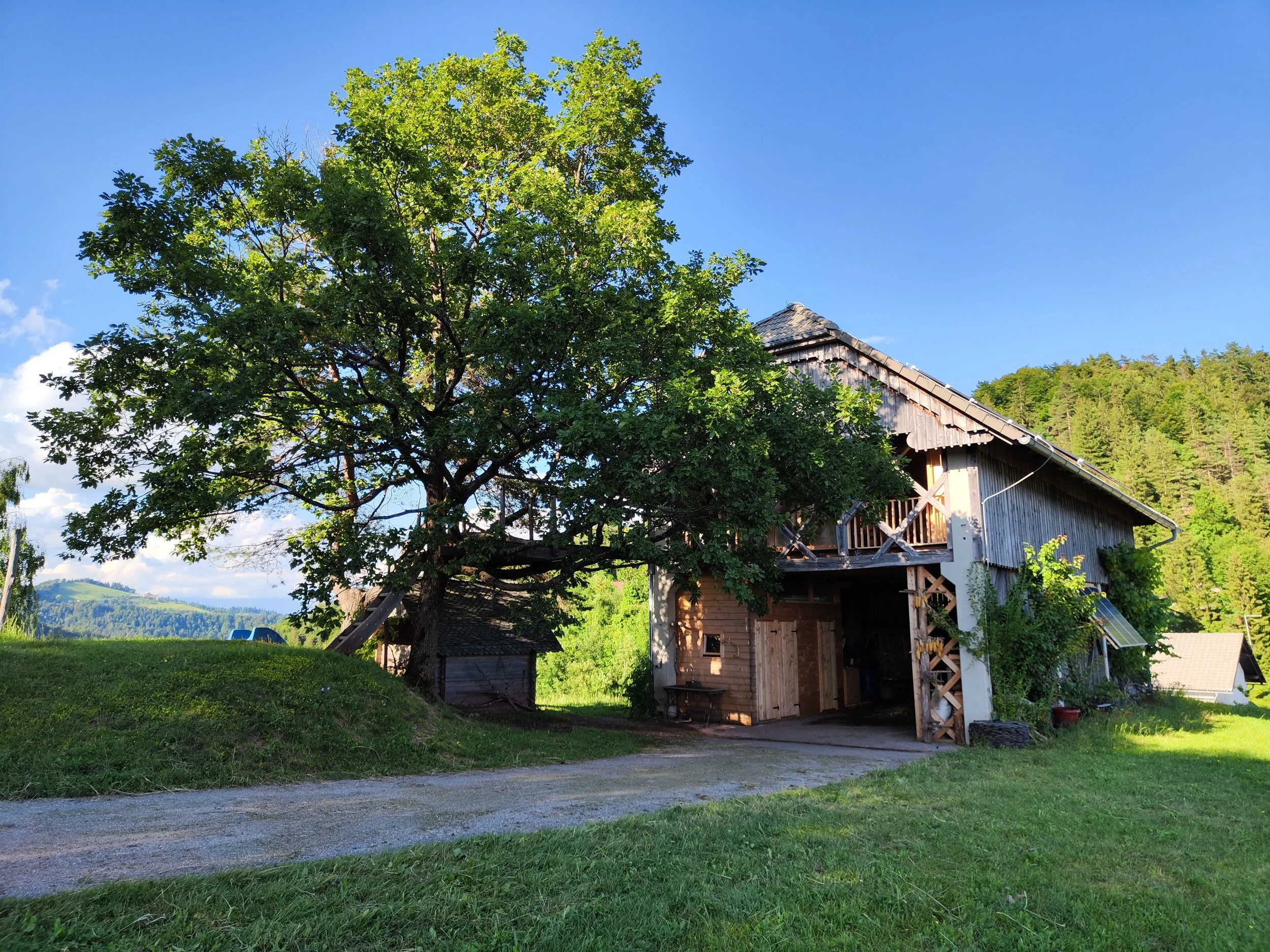 Picture of the Kozolec accommodation. Mostly wooden building, big oak tree next to it.