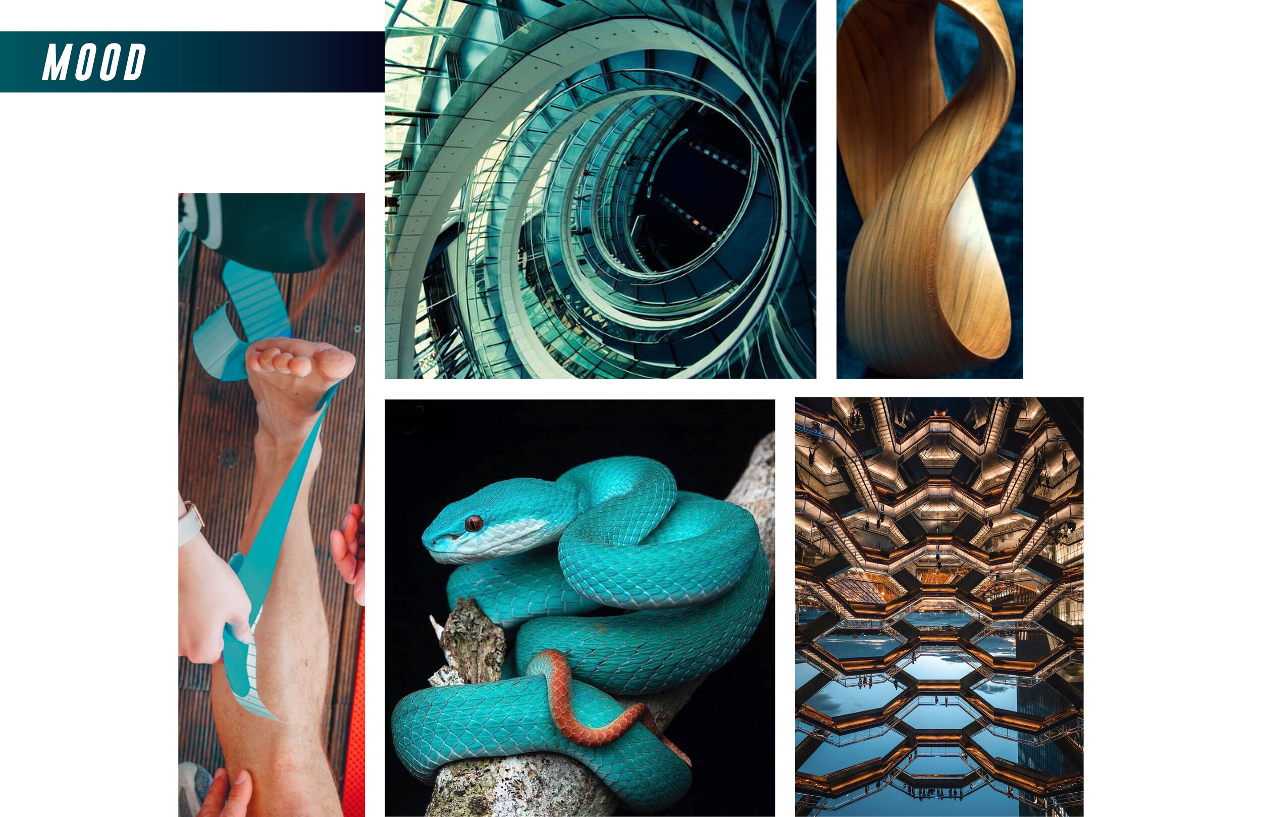 Lorenzo_1_Project Upper6.jpg