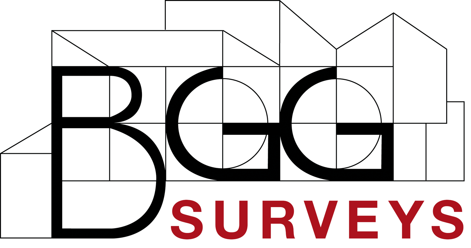 BGG Surveys