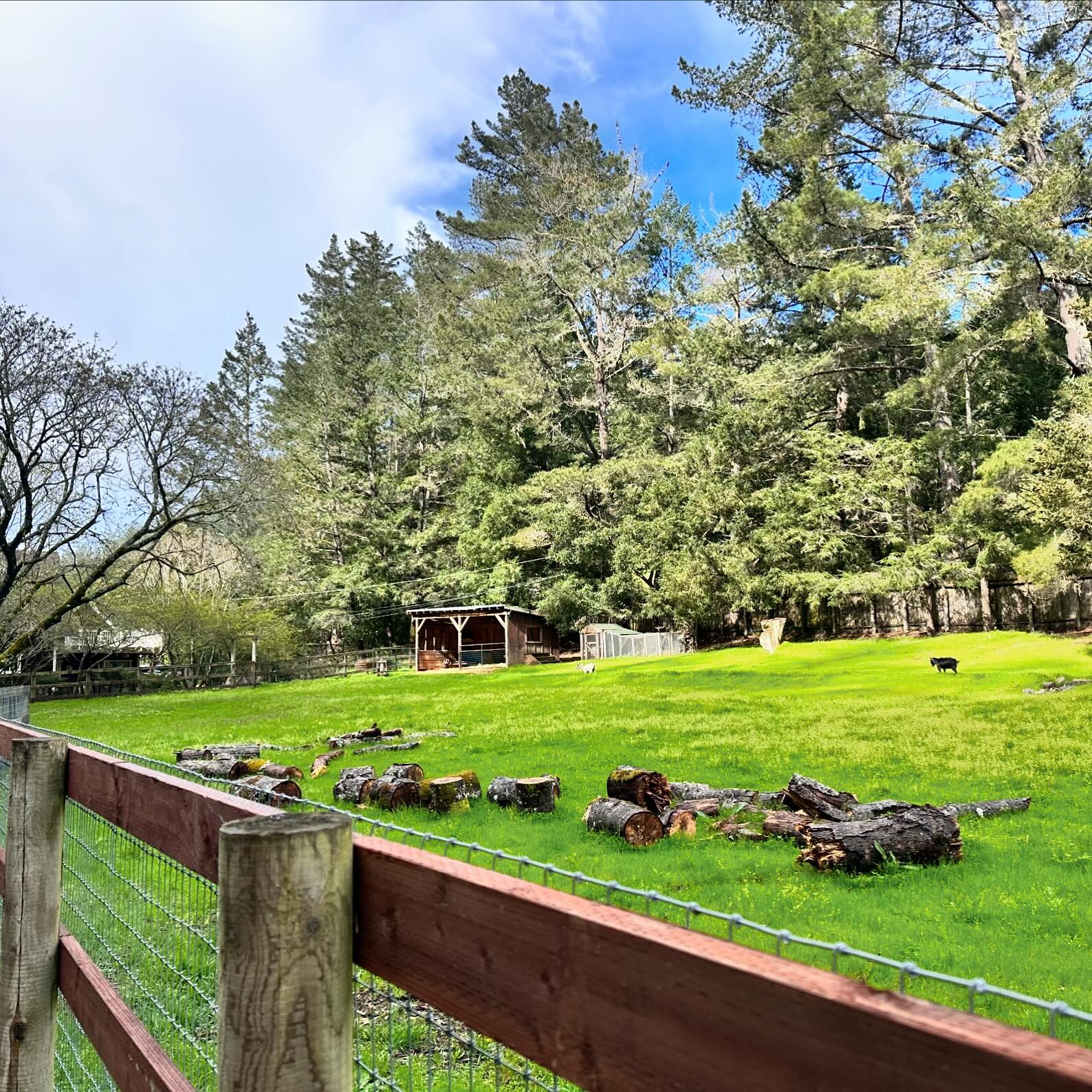 #JUSTSOLD | Gorgeous 4 acre property along Lucas Valley Road in #Nicasio. This estate includes a beautiful 5 bedroom home with attached ADU, pool, hot tub and separate cottage. Ample natural light with space to grow food, garden and raise animals or 