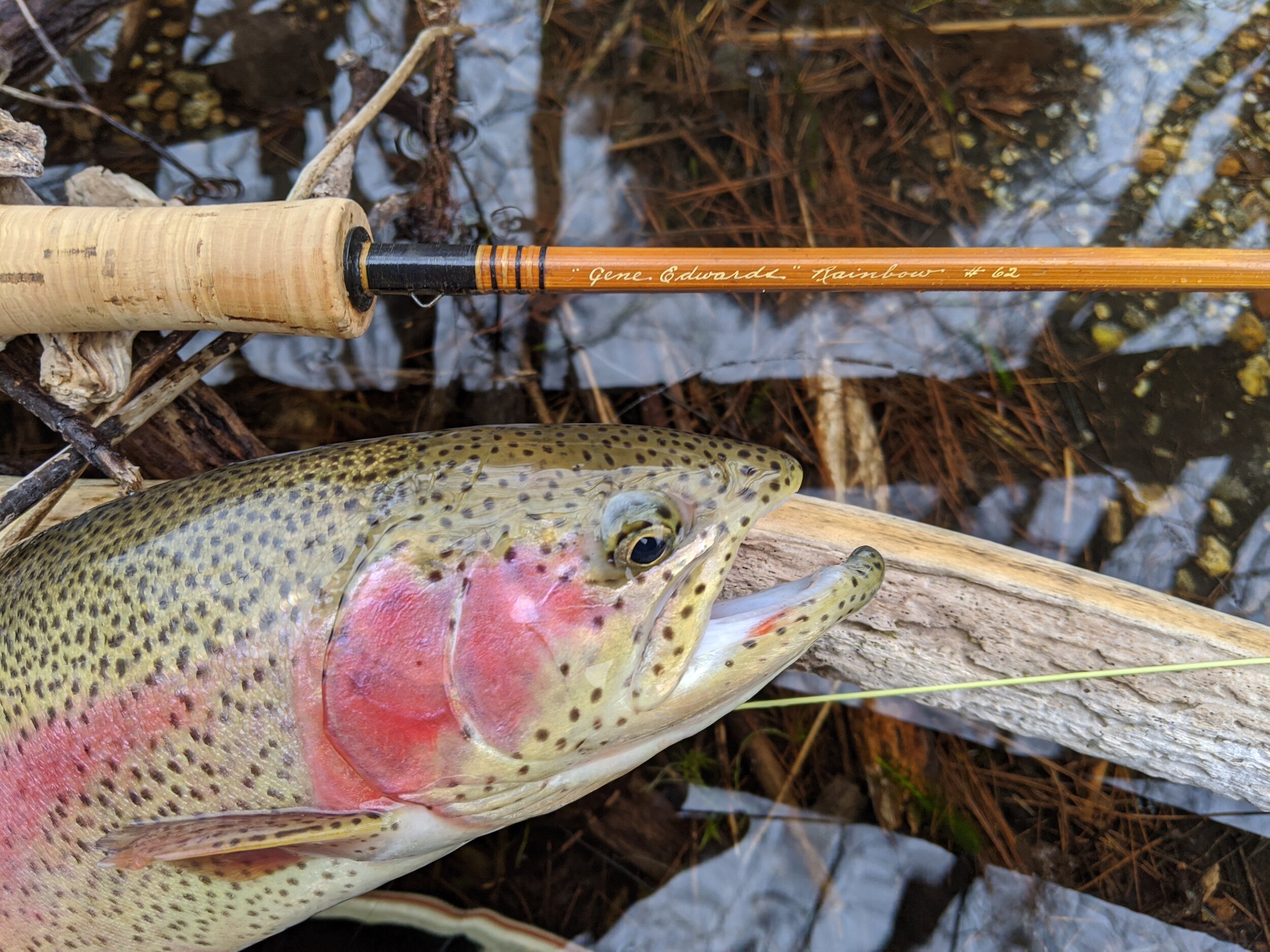 Rods — Swift River Fly Fishing