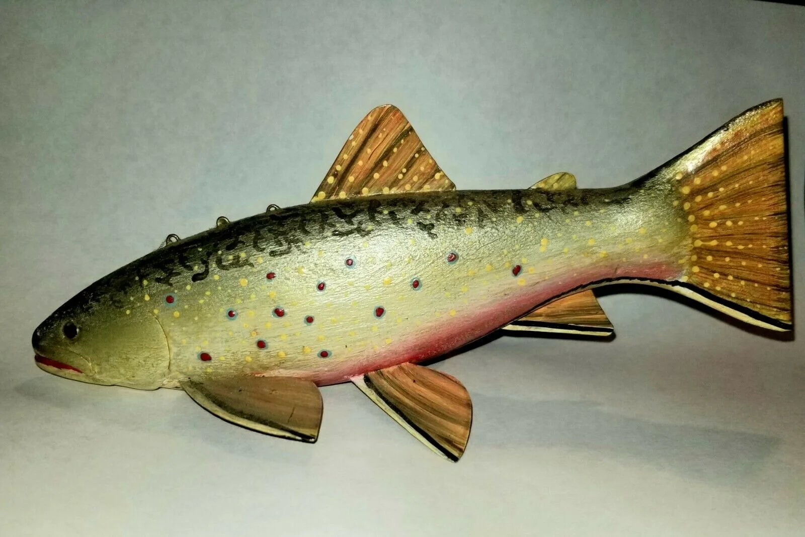 Finch Brook Trout.jpg