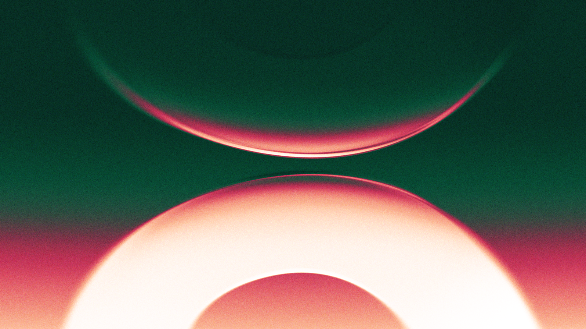 Giant Ant - Shopify Summit