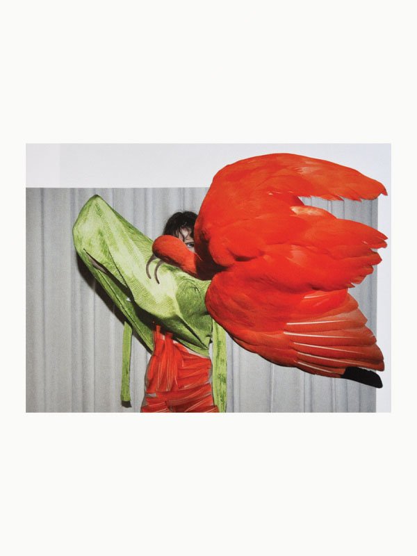 In and Out of Fashion（Third Edition） - Viviane Sassen