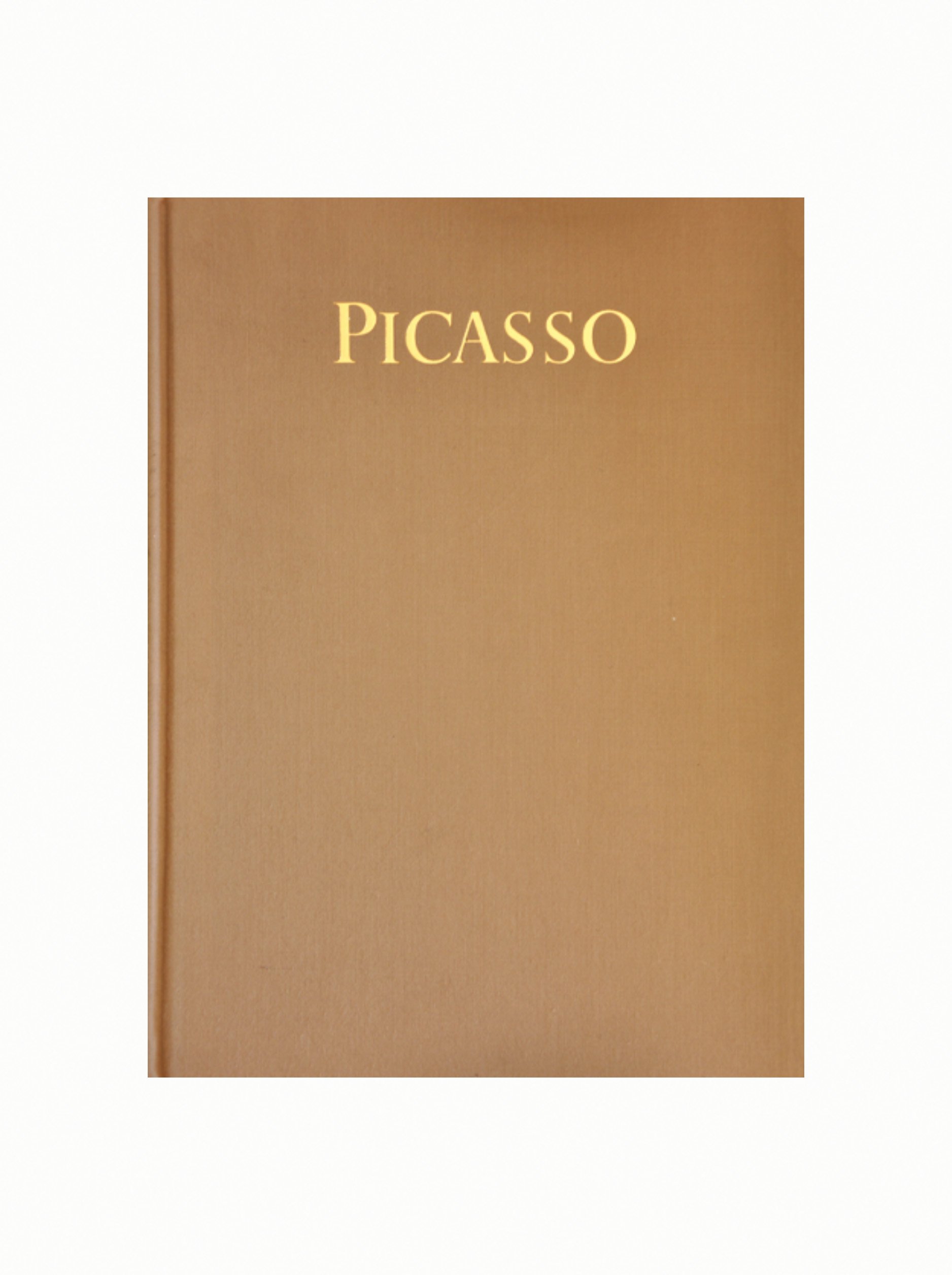 Picasso (Masters of Art)