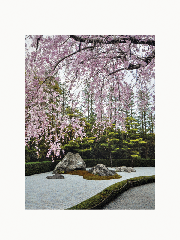 見杉宗則　My Garden The Japanese Garden — Maison Plage