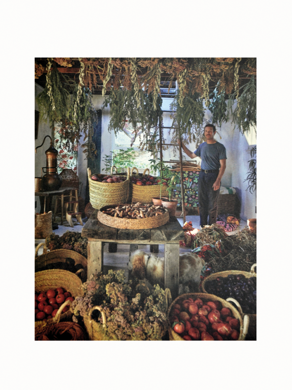 Best Garden Coffee Table Books Garden & Mushroom Book Stacks 2025