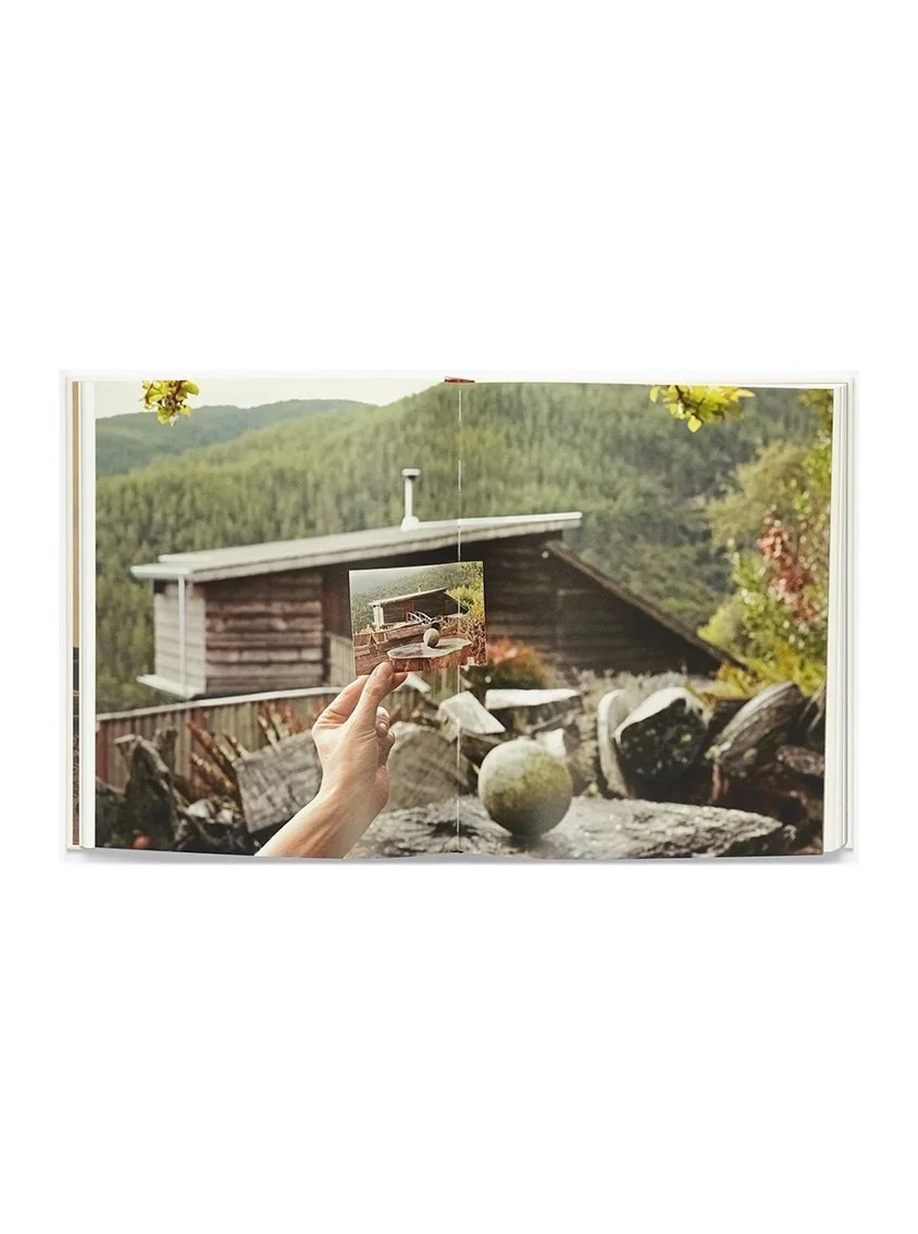 MP_Website_Photo6.jpg