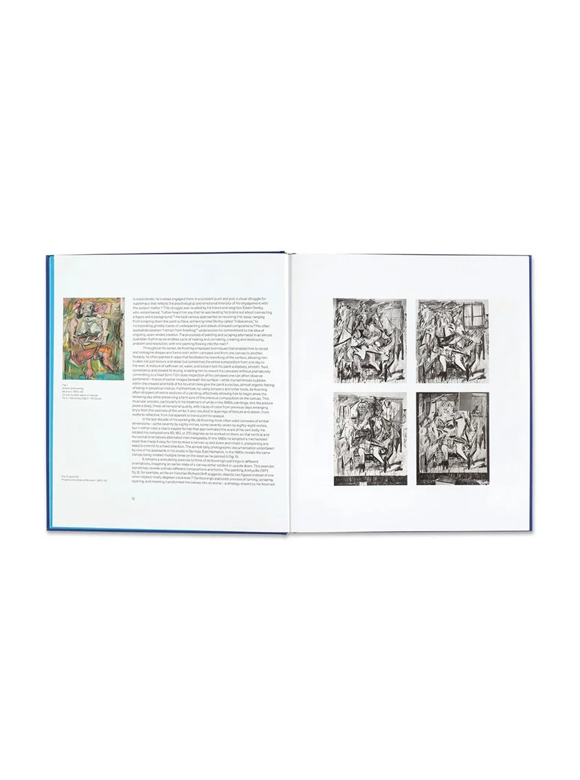 Site3_Willem de Kooning Endless Painting.jpg (Copy)