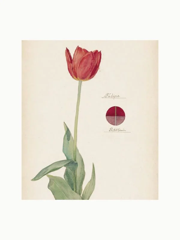 HilmaKlint5.jpg